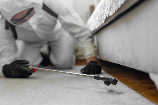 Professional Ant Control technician working in Wingate, NC